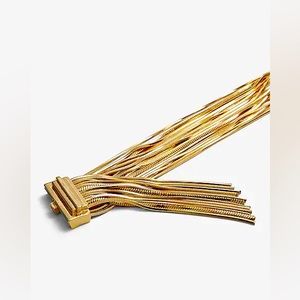 NWT Express Multi Chain Fringe Bracelet‎